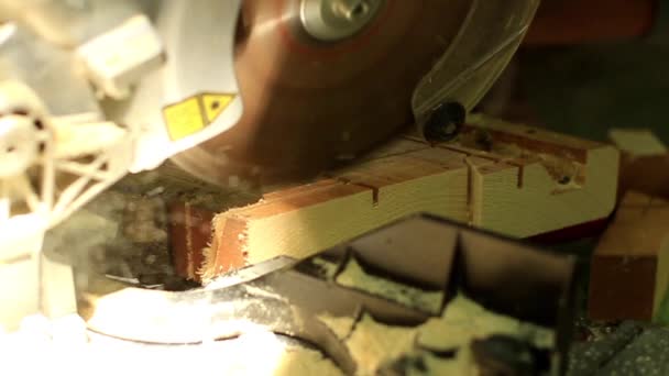 Timmerman werkt met Industrieel gereedschap in houtfabriek, cirkelvormig lemmet met een houten plaat — Stockvideo