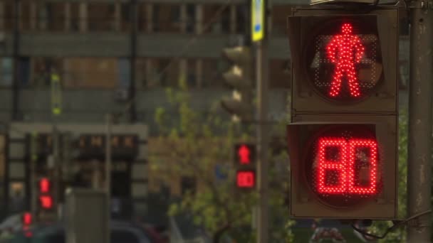 Verkeerslichten in de straat — Stockvideo