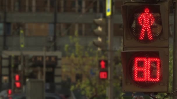 Luzes de trânsito na rua — Vídeo de Stock