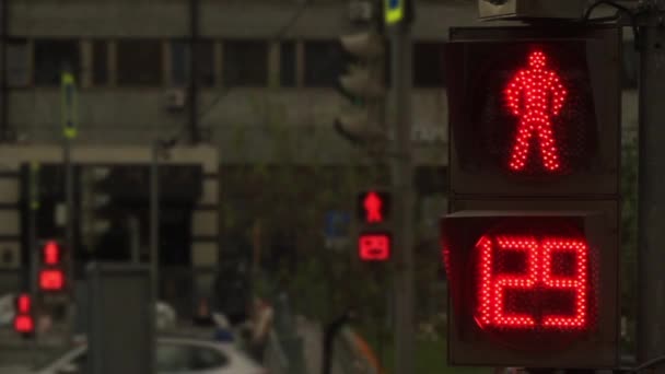 Feux de circulation dans la rue 