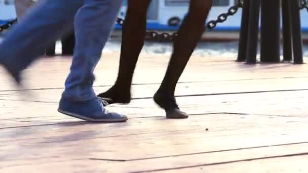 英尺的一对夫妇在路堤上跳舞 — 图库视频影像