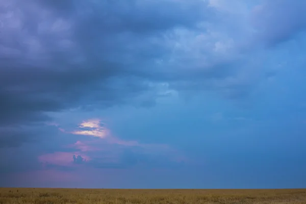 Twilight sky over the field — Stock Photo, Image