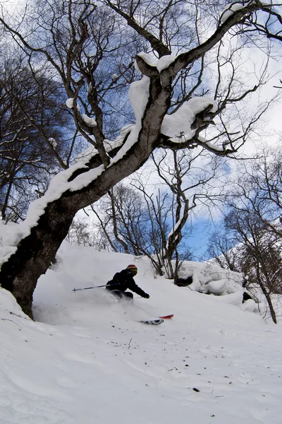 Freerider in the forest — Stock Photo, Image