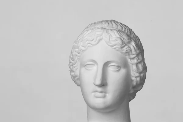 Gipskopf der venus de milo — Stockfoto