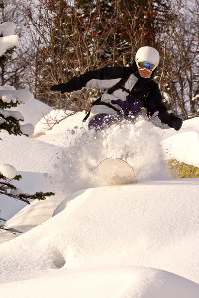 Snowboard freeride Sibirya — Stok fotoğraf