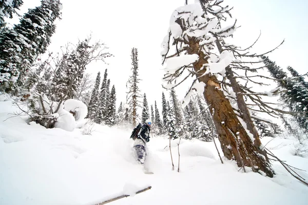 Freeride Sibirya — Stok fotoğraf