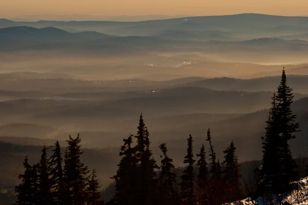 Silhouette degli alberi sullo sfondo della montagna — Foto Stock