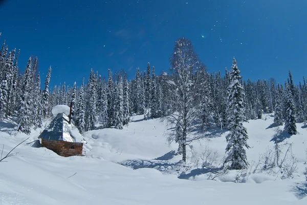 Malý dům v zimním lese — Stock fotografie