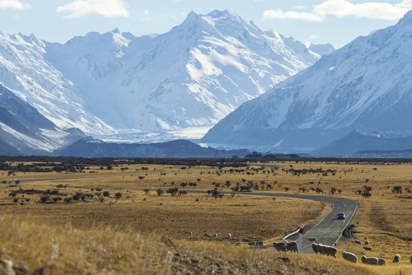 The road in New Zealand — Stock Photo, Image