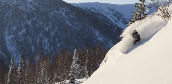 Freeride na Syberii — Zdjęcie stockowe