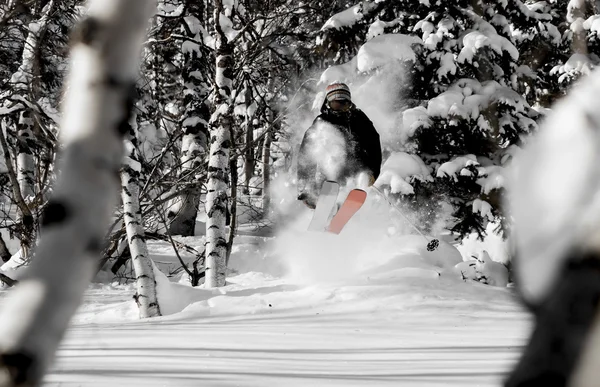 Freeride in Siberia — Stock Photo, Image