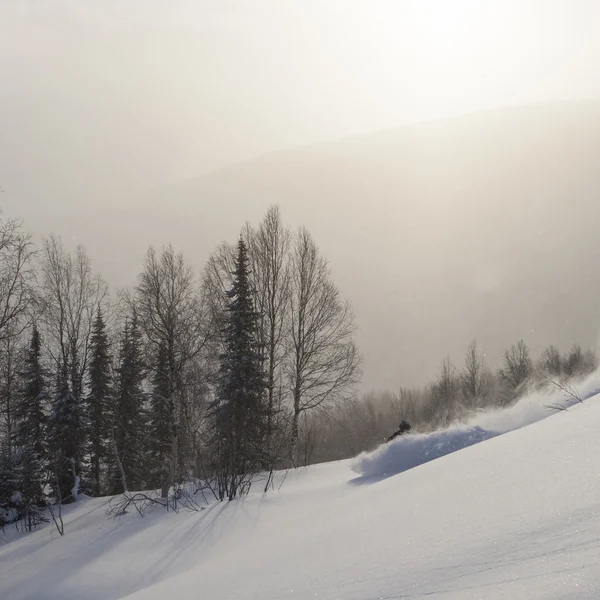 Freeride in Siberia — Foto Stock