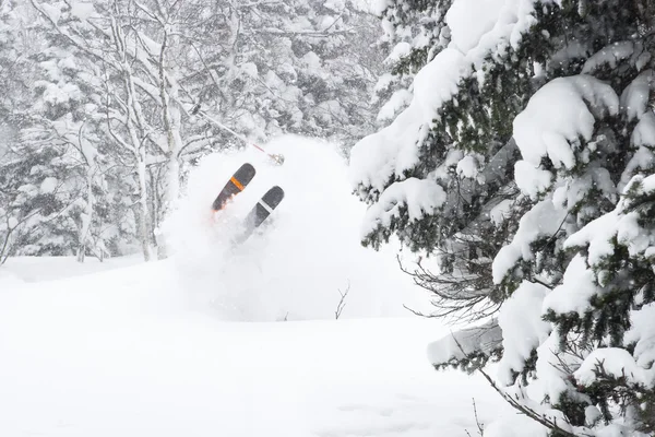 Freeride in Sibirien — Stockfoto