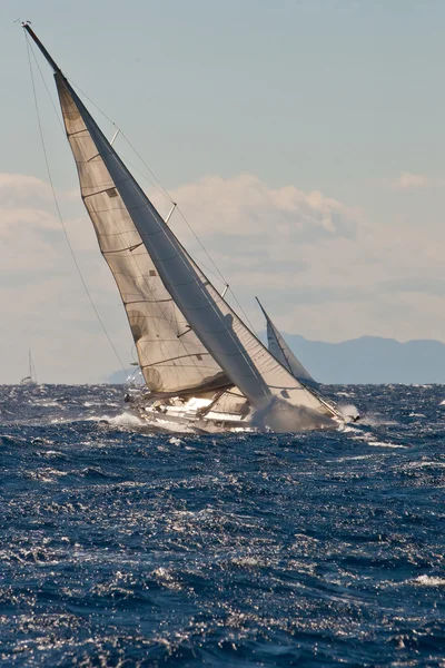 Yacht regatta — Stock Photo, Image