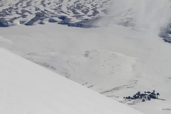 Campo de clinker sob a neve — Fotografia de Stock