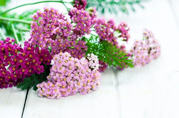 Flor rosa en la mesa — Foto de Stock