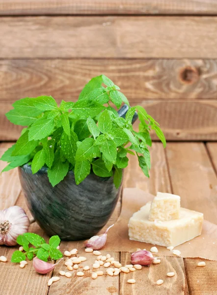 Pesto elkészítése — Stock Fotó