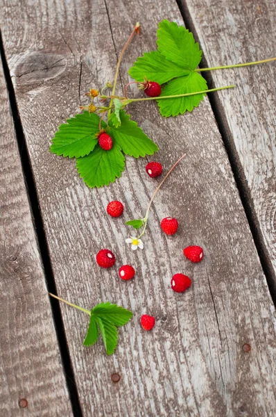 Aardbeien — Stockfoto