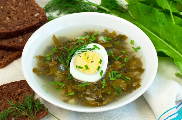 Sorrel soup — Stock Photo, Image