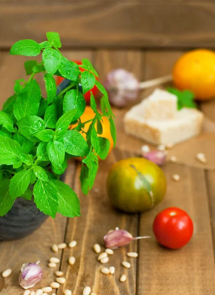 Fesleğen ve parmesan Stok Fotoğraf