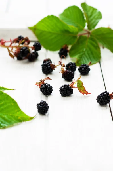 Organiczny blackberry — Zdjęcie stockowe