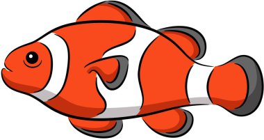 Bir palyaço balığı çizimi, izole edilmiş.