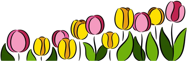 Tulips Flowers — Stock Vector