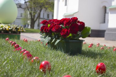 Gül ve Paskalya yumurtaları