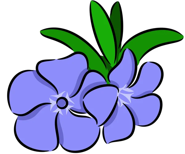 ツルニチニチソウの花 — ストックベクタ