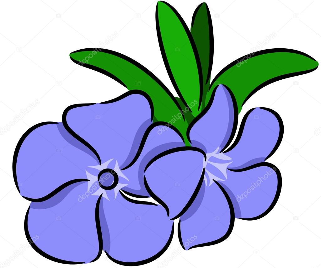 Periwinkle Flower - Amazing Meaning And Symbolism Of Periwinkle Flower And Color Florgeous / The periwinkle is a flowering shrub that belongs to the dogbane or apocynaceae family.