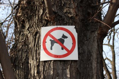 İşareti yasaklayan köpek yürüyüş
