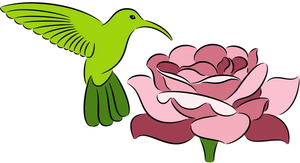 Colibri et rose — Image vectorielle