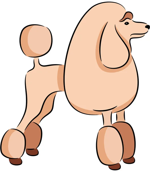 Perro caniche — Vector de stock