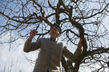 Üst düzey çiftçi kesme ağaçlar