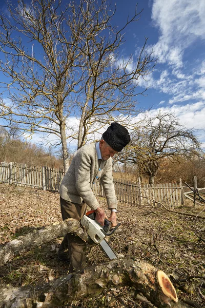 Alberi da taglio per agricoltori anziani — Foto Stock