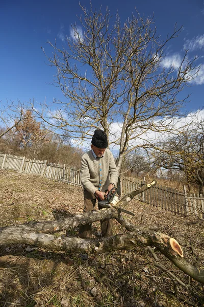 Agricultor sênior que corta árvores — Fotografia de Stock