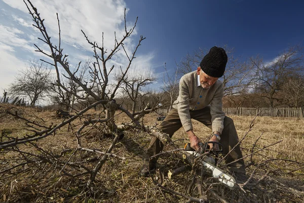 Agricultor sênior que corta árvores — Fotografia de Stock