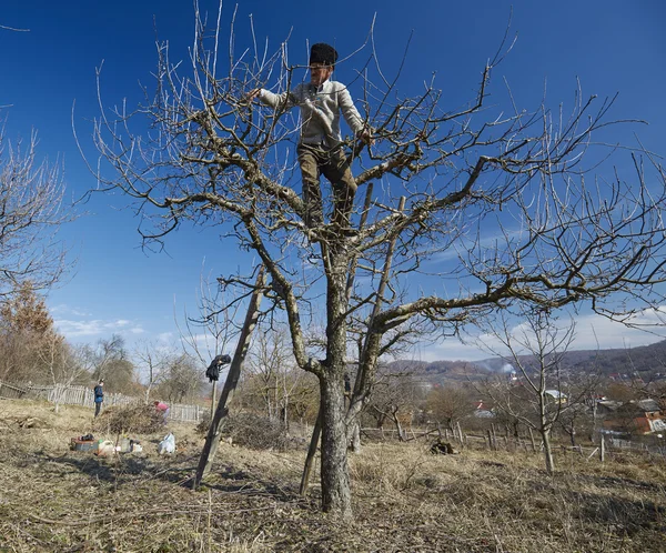 Famiglia di agricoltori che lavorano in primavera — Foto Stock