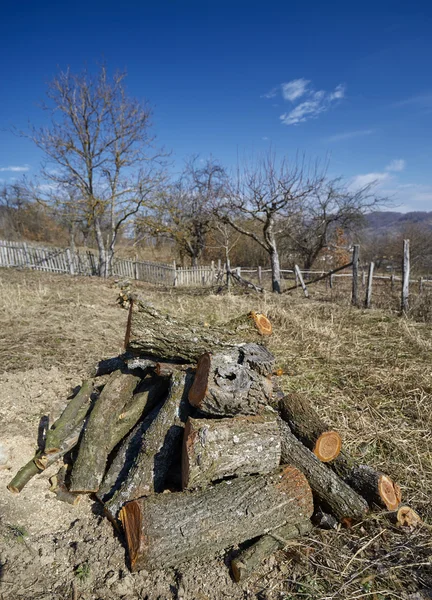 Appelboom, gehakt — Stockfoto