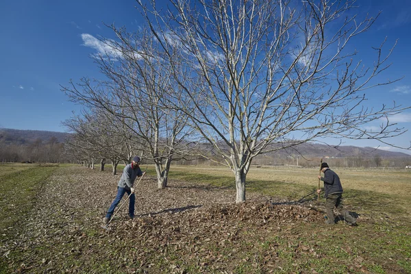 Famiglia di agricoltori pulizia primaverile — Foto Stock