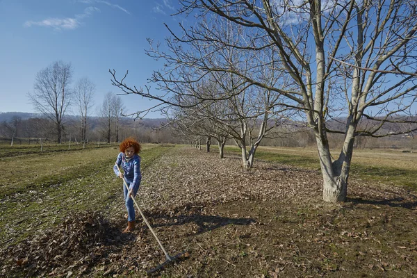 Campesino mujer limpieza de primavera con un rastrillo — Foto de Stock