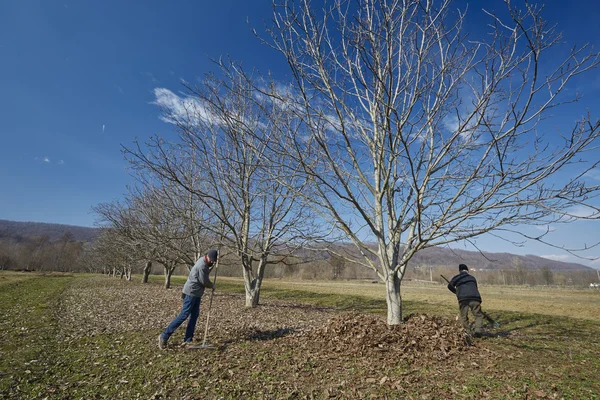 Family of farmers spring cleaning — Stock Photo, Image