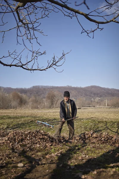 Oberbäuerin beim Frühjahrsputz im Obstgarten — Stockfoto