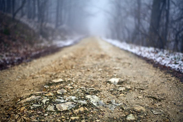 Nebelige Straße im Wald — Stockfoto