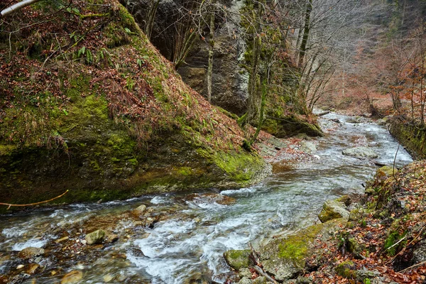 Río en las montañas — Foto de Stock