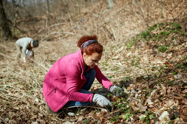 Woman picking nettles — Stock Photo, Image