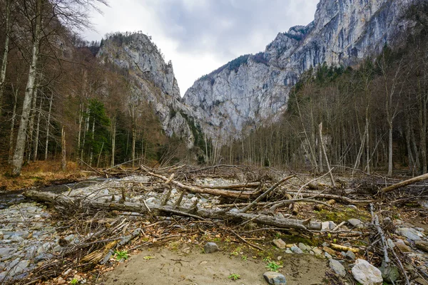 Vápencové hory a Les na jaře — Stock fotografie