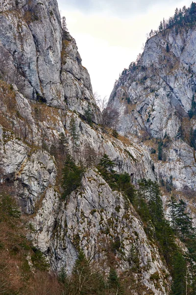 Montagne calcaree e foreste in primavera — Foto Stock