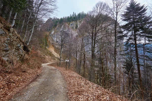 Road to the mountains — Stock Photo, Image