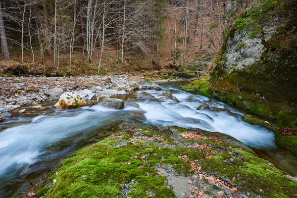 Rio que flui através da floresta — Fotografia de Stock